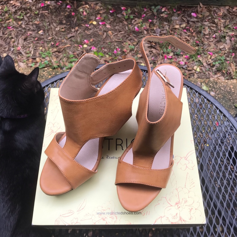 Restricted Platform Shoes - Picture 2 of 6